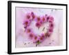 Heart of Pink Asters-Friedrich Strauss-Framed Photographic Print