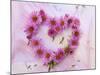 Heart of Pink Asters-Friedrich Strauss-Mounted Photographic Print