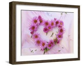 Heart of Pink Asters-Friedrich Strauss-Framed Photographic Print