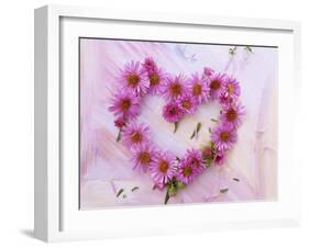 Heart of Pink Asters-Friedrich Strauss-Framed Photographic Print