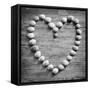 Heart of Shells in BW-Tom Quartermaine-Framed Stretched Canvas