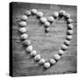Heart of Shells in BW-Tom Quartermaine-Stretched Canvas