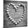 Heart of Shells in BW-Tom Quartermaine-Mounted Giclee Print