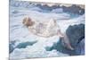 Heart of Snow, 1907-Edward Robert Hughes-Mounted Giclee Print