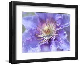 Heart of the Camellia II-Gillian Hunt-Framed Photographic Print