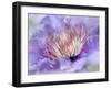 Heart of the Camellia III-Gillian Hunt-Framed Photographic Print