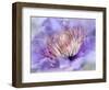 Heart of the Camellia III-Gillian Hunt-Framed Photographic Print