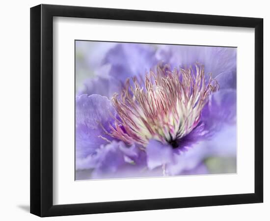 Heart of the Camellia III-Gillian Hunt-Framed Photographic Print