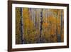 Heart of the Forest-Michael Greene-Framed Giclee Print