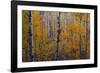 Heart of the Forest-Michael Greene-Framed Giclee Print