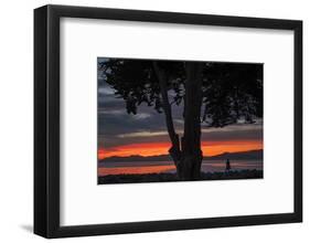 Heart of the Sunset - San Francisco Bay, Emeryville-Vincent James-Framed Photographic Print