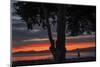 Heart of the Sunset - San Francisco Bay, Emeryville-Vincent James-Mounted Photographic Print