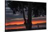 Heart of the Sunset - San Francisco Bay, Emeryville-Vincent James-Stretched Canvas