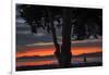 Heart of the Sunset - San Francisco Bay, Emeryville-Vincent James-Framed Photographic Print