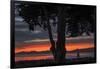 Heart of the Sunset - San Francisco Bay, Emeryville-Vincent James-Framed Photographic Print