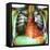 Heart Pacemaker, X-ray-Du Cane Medical-Framed Stretched Canvas