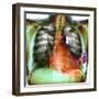 Heart Pacemaker, X-ray-Du Cane Medical-Framed Premium Photographic Print