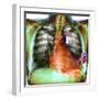 Heart Pacemaker, X-ray-Du Cane Medical-Framed Premium Photographic Print