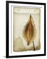 Heart Pod II-Chris Dunker-Framed Giclee Print