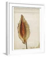 Heart Pod III-Chris Dunker-Framed Giclee Print