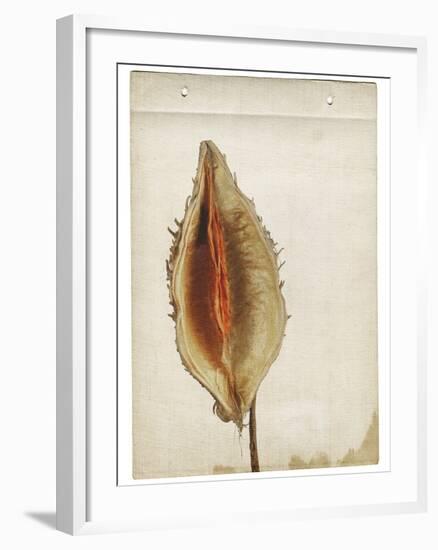 Heart Pod III-Chris Dunker-Framed Giclee Print