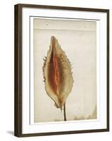 Heart Pod III-Chris Dunker-Framed Giclee Print