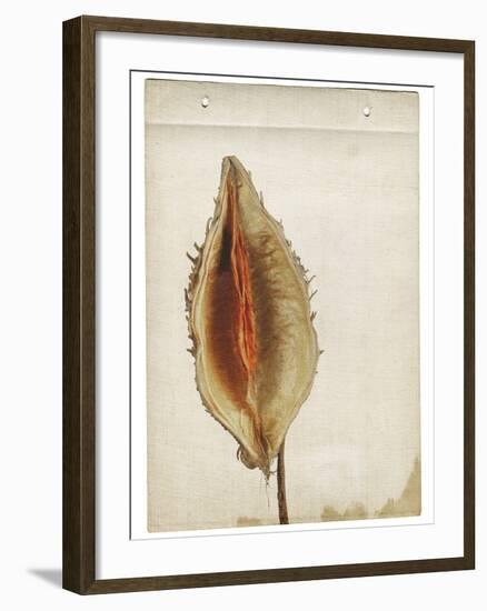Heart Pod III-Chris Dunker-Framed Giclee Print