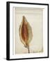 Heart Pod III-Chris Dunker-Framed Giclee Print