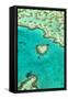 Heart Reef I-Larry Malvin-Framed Stretched Canvas