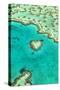 Heart Reef I-Larry Malvin-Stretched Canvas