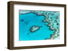 Heart reef in the Great Barrier Reef from above, Queensland, Australia.-Francesco Riccardo Iacomino-Framed Photographic Print