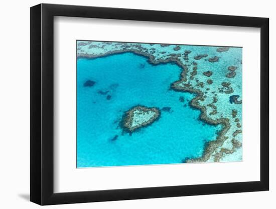 Heart reef in the Great Barrier Reef from above, Queensland, Australia.-Francesco Riccardo Iacomino-Framed Photographic Print