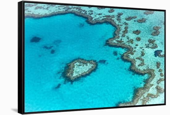 Heart reef in the Great Barrier Reef from above, Queensland, Australia.-Francesco Riccardo Iacomino-Framed Stretched Canvas