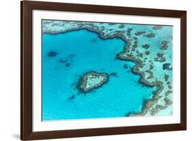 Heart reef in the Great Barrier Reef from above, Queensland, Australia.-Francesco Riccardo Iacomino-Framed Photographic Print