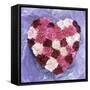 Heart Shape in Red and White Carnations-Alena Hrbkova-Framed Stretched Canvas