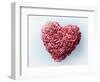 Heart Shape Symbol-Matthias Kulka-Framed Giclee Print