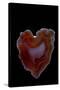 Heart Shaped Banded Agate, Quartzsite, AZ-Darrell Gulin-Stretched Canvas