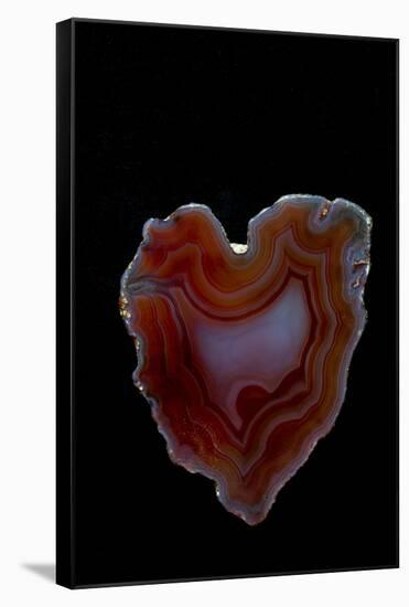 Heart Shaped Banded Agate, Quartzsite, AZ-Darrell Gulin-Framed Stretched Canvas