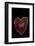 Heart Shaped Banded Agate, Quartzsite, AZ-Darrell Gulin-Framed Photographic Print