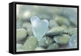 Heart-Shaped Beach Glass and Wet Rocks, Seabeck, Washington, USA-Jaynes Gallery-Framed Stretched Canvas