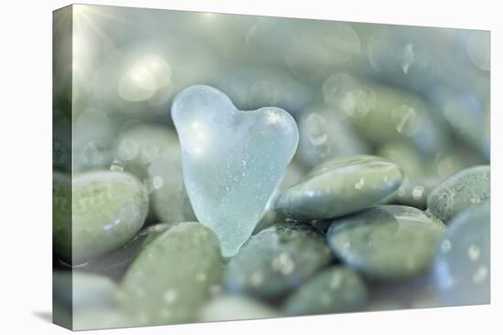 Heart-Shaped Beach Glass and Wet Rocks, Seabeck, Washington, USA-Jaynes Gallery-Stretched Canvas