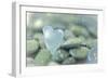 Heart-Shaped Beach Glass and Wet Rocks, Seabeck, Washington, USA-Jaynes Gallery-Framed Photographic Print