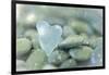 Heart-Shaped Beach Glass and Wet Rocks, Seabeck, Washington, USA-Jaynes Gallery-Framed Photographic Print