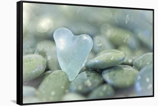 Heart-Shaped Beach Glass and Wet Rocks, Seabeck, Washington, USA-Jaynes Gallery-Framed Stretched Canvas