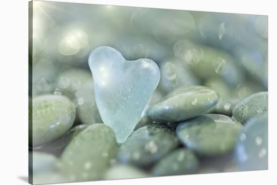 Heart-Shaped Beach Glass and Wet Rocks, Seabeck, Washington, USA-Jaynes Gallery-Stretched Canvas