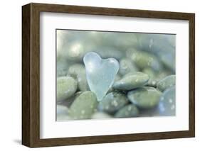 Heart-Shaped Beach Glass and Wet Rocks, Seabeck, Washington, USA-Jaynes Gallery-Framed Photographic Print