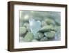 Heart-Shaped Beach Glass and Wet Rocks, Seabeck, Washington, USA-Jaynes Gallery-Framed Premium Photographic Print