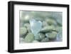 Heart-Shaped Beach Glass and Wet Rocks, Seabeck, Washington, USA-Jaynes Gallery-Framed Premium Photographic Print