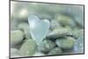 Heart-Shaped Beach Glass and Wet Rocks, Seabeck, Washington, USA-Jaynes Gallery-Mounted Premium Photographic Print