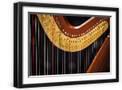 Black Frame
